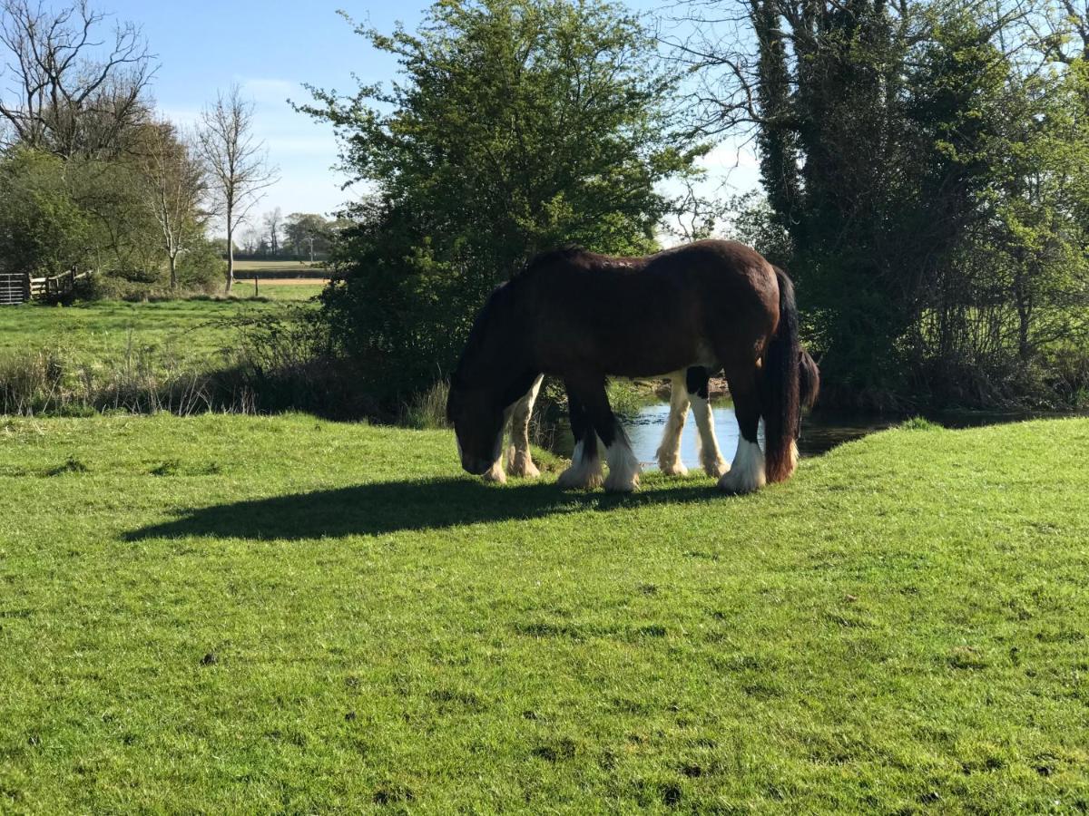 Tupenny Cottage, Old Mill Farm, Cotswold Water Park Cirencester Eksteriør billede