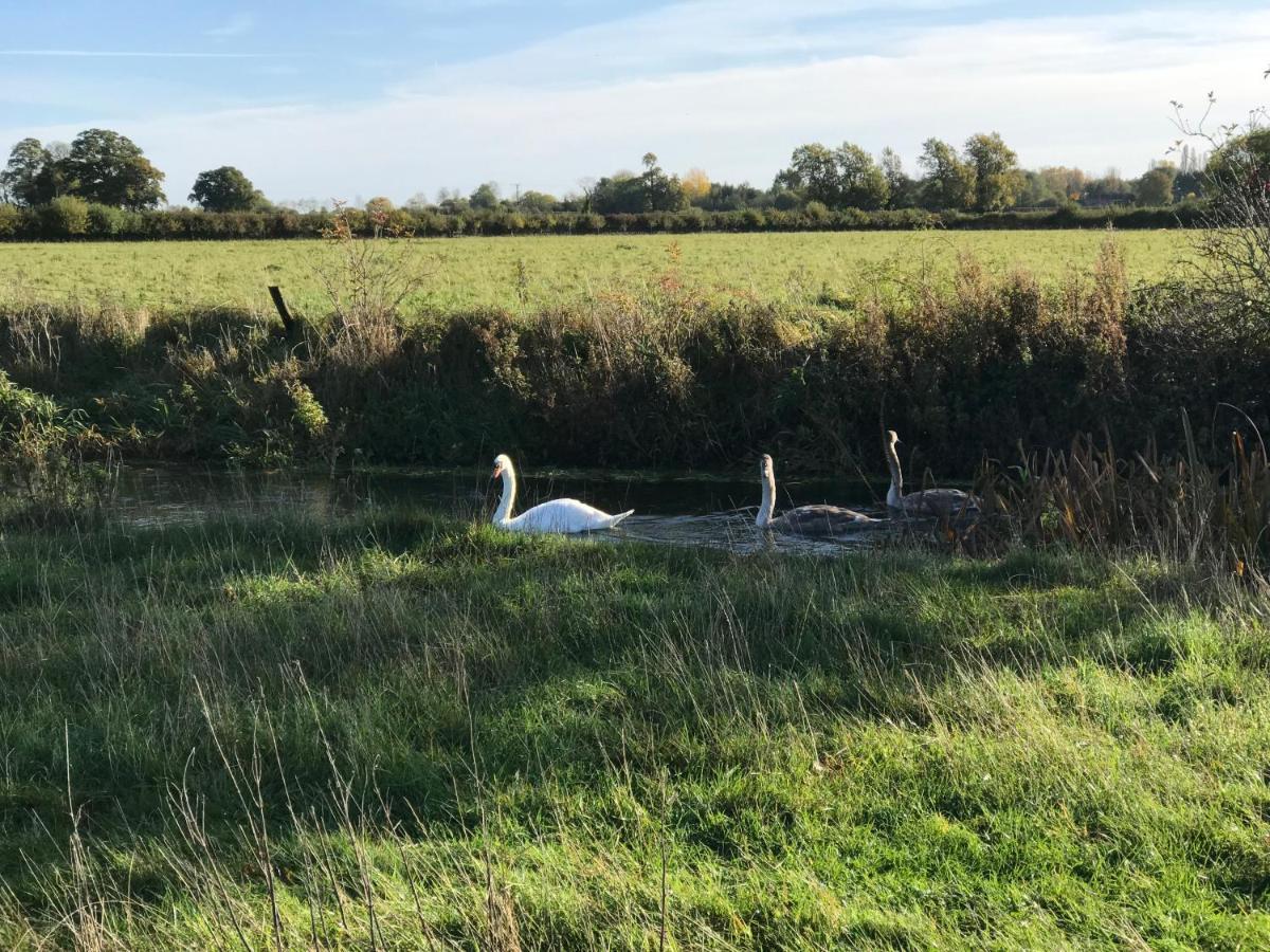 Tupenny Cottage, Old Mill Farm, Cotswold Water Park Cirencester Eksteriør billede