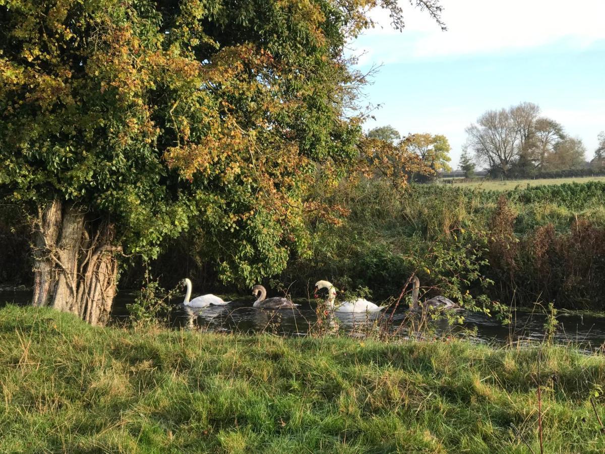 Tupenny Cottage, Old Mill Farm, Cotswold Water Park Cirencester Eksteriør billede